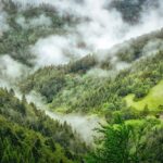 Los templos remotos donde la espiritualidad se encuentra con la soledad »
